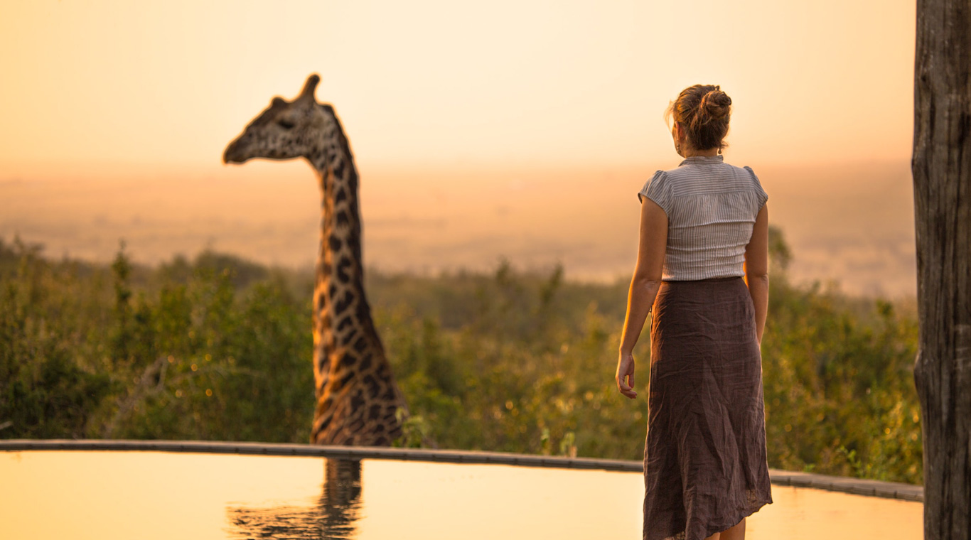 Honeymoon Specialist